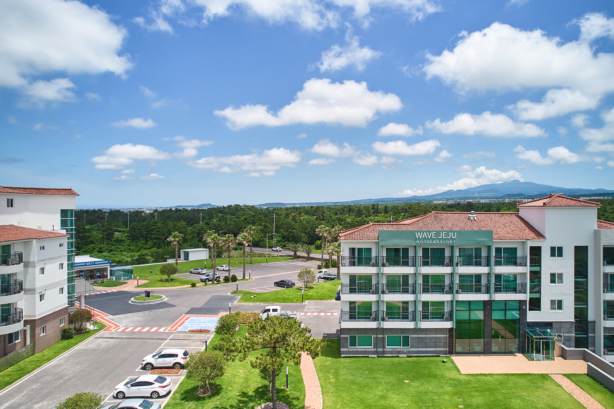 ���̺� ���� ȣ��&����Ʈ