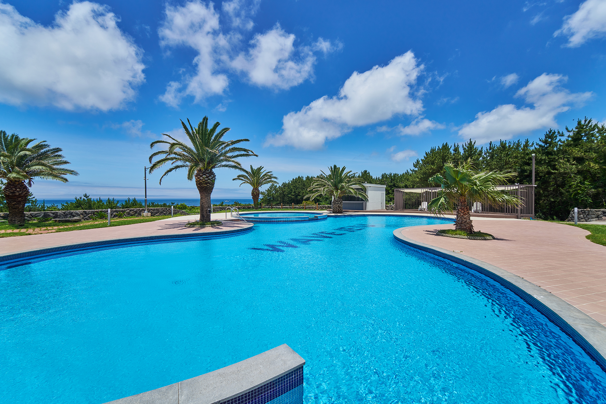 ������_4