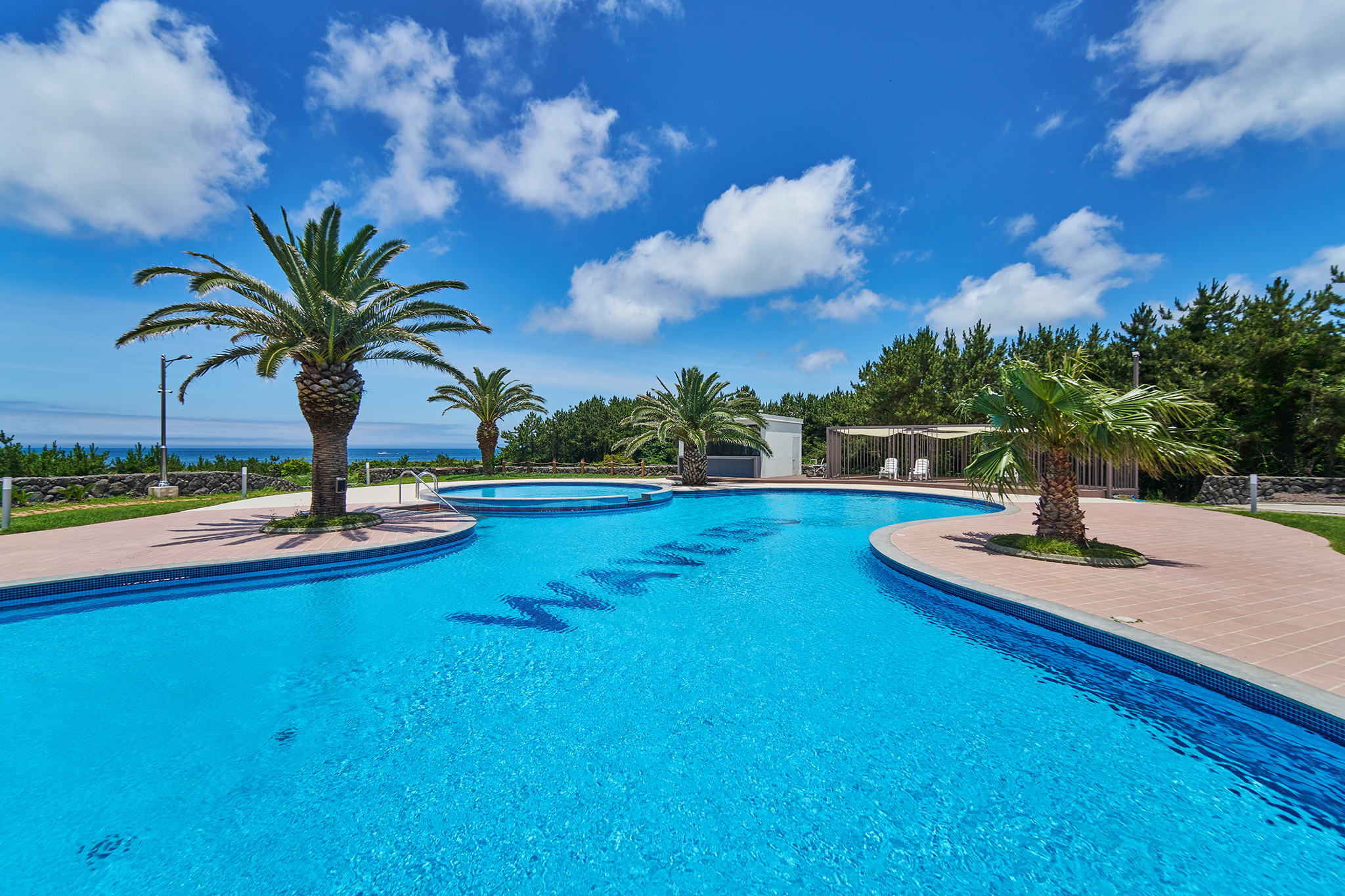 ������_5