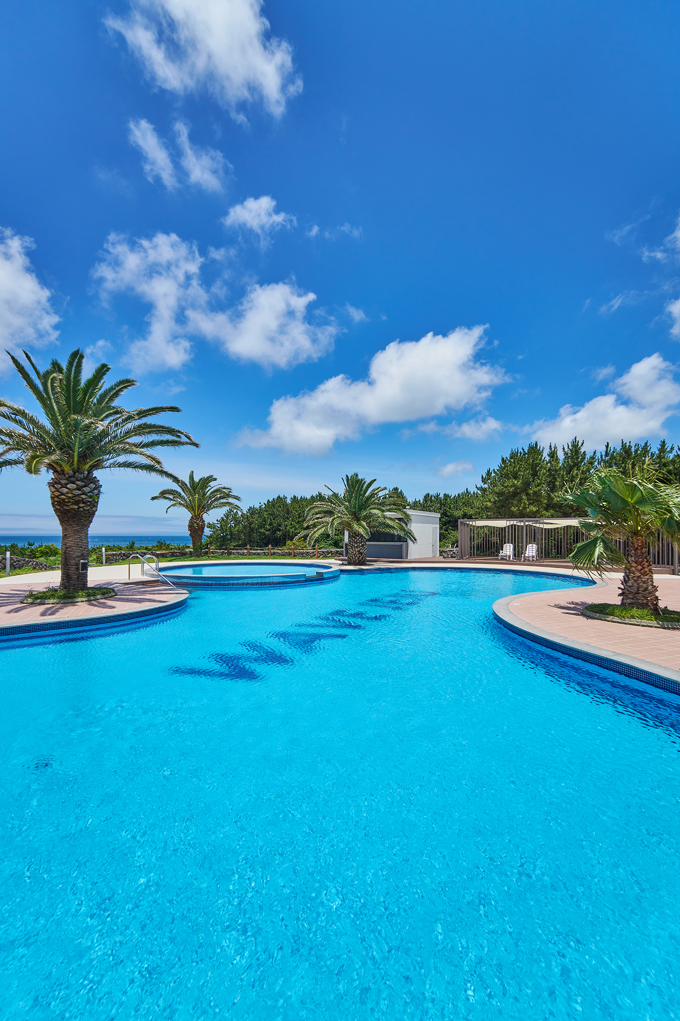 ������_6