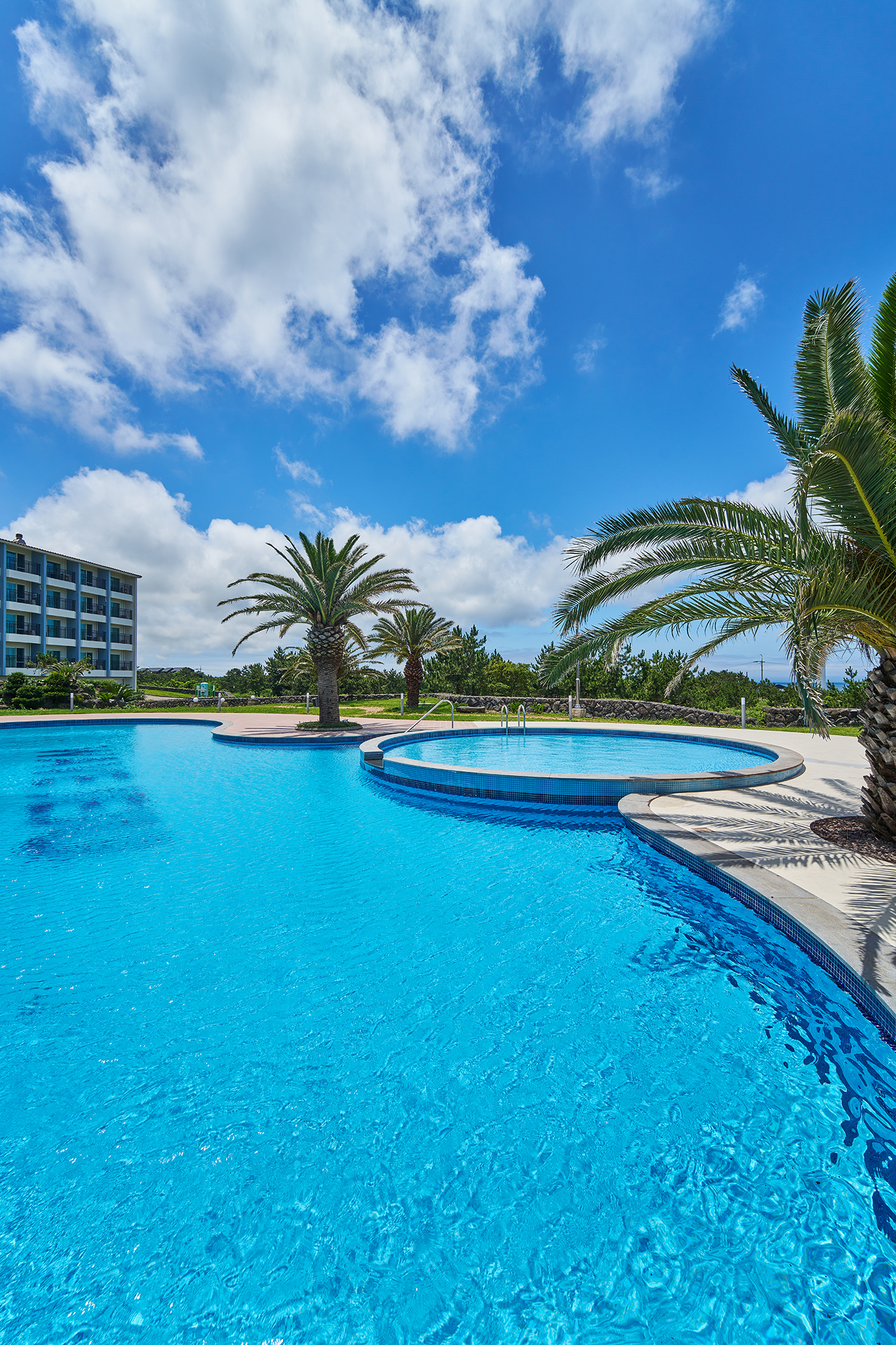 ������_11