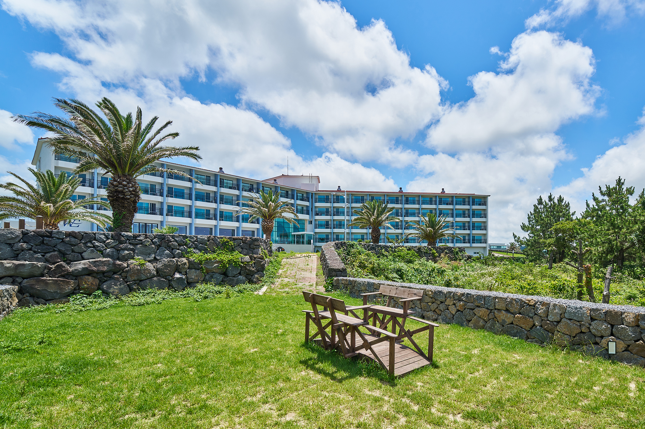 ������_15