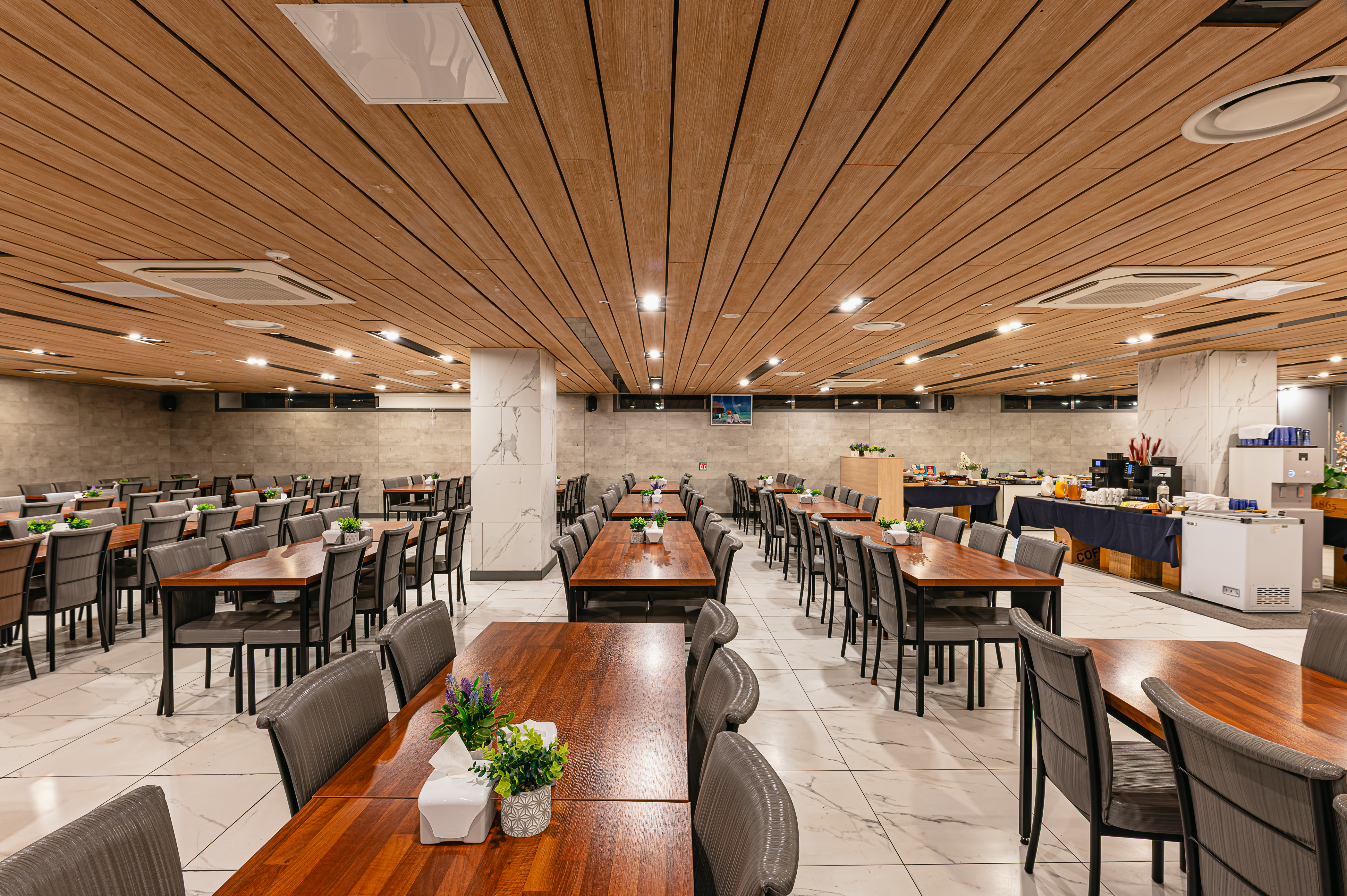 �������,ī�� (13)