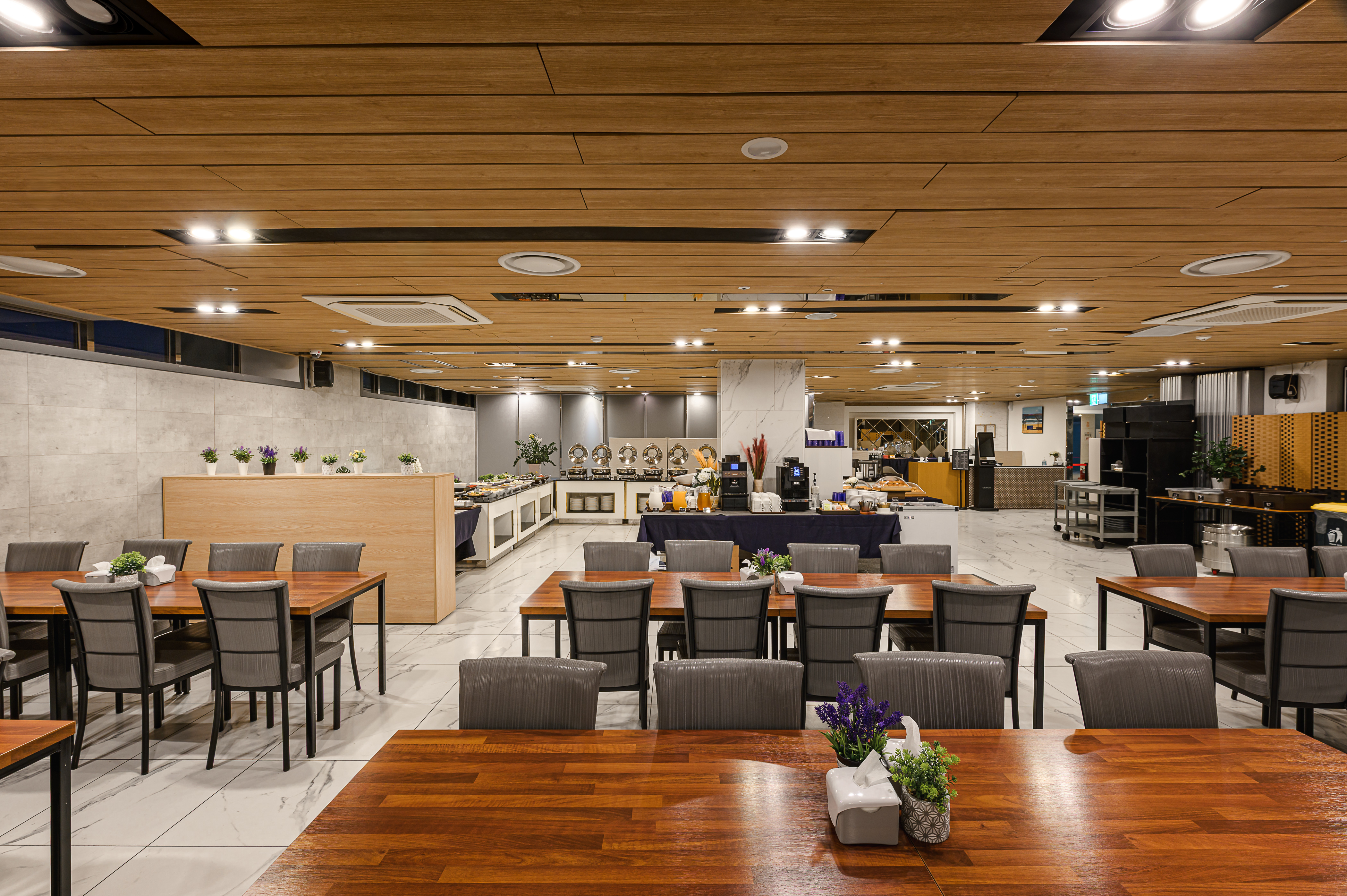 �������,ī�� (19)