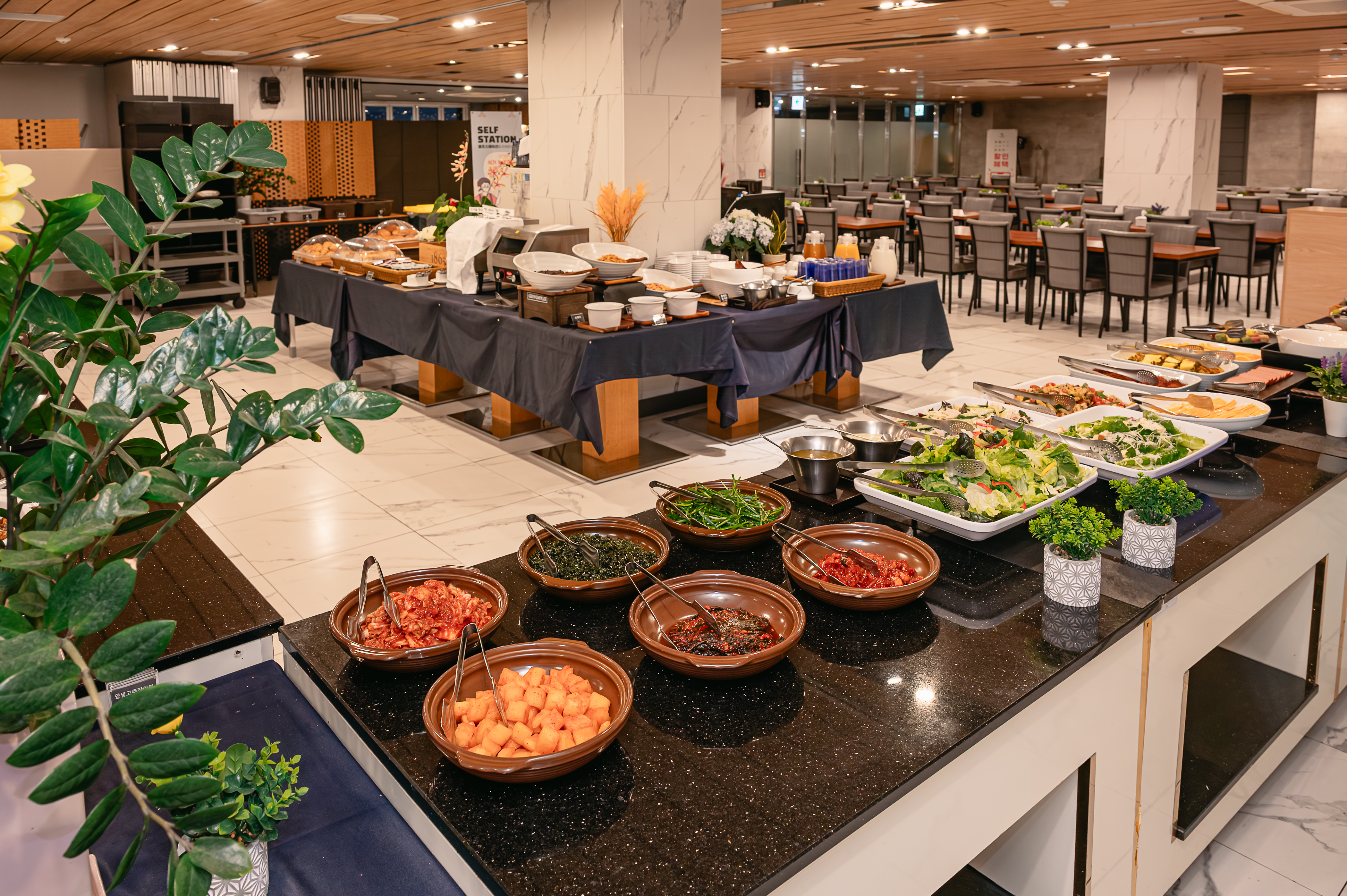 �������,ī�� (31)