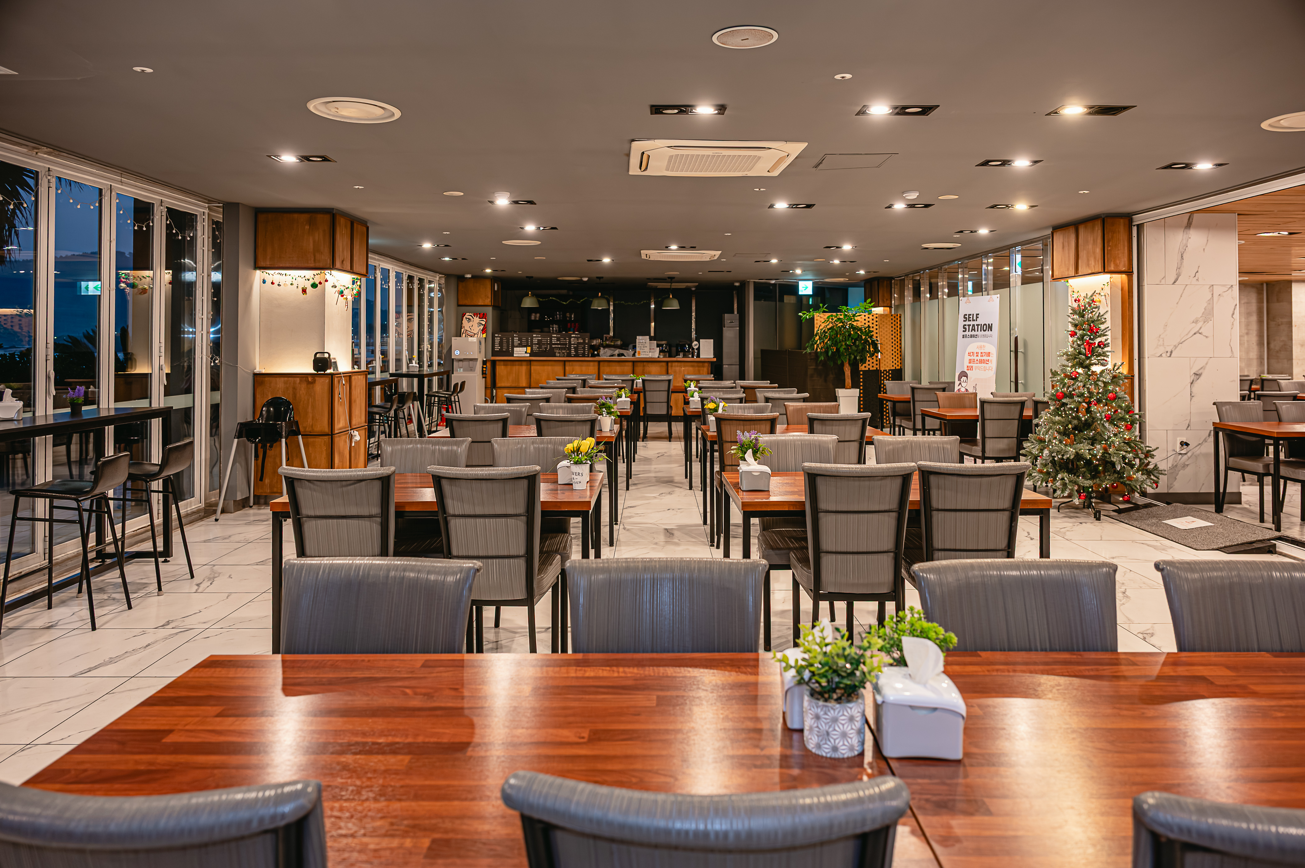 �������,ī�� (41)