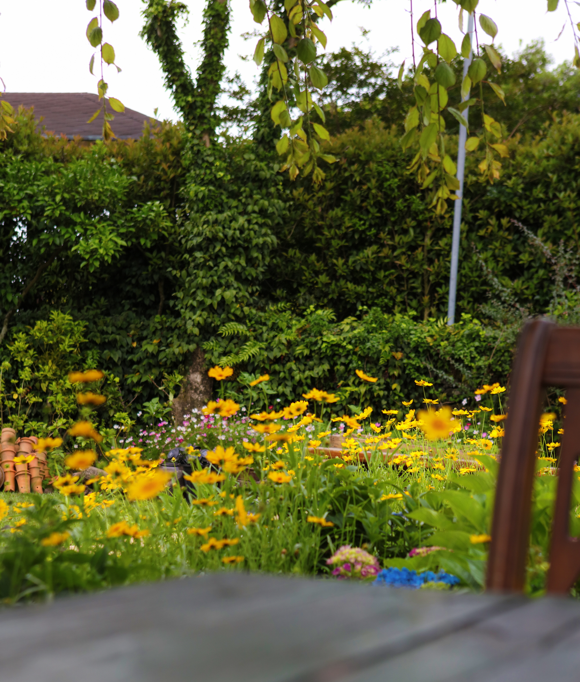 ������Ǫ���ٴ�