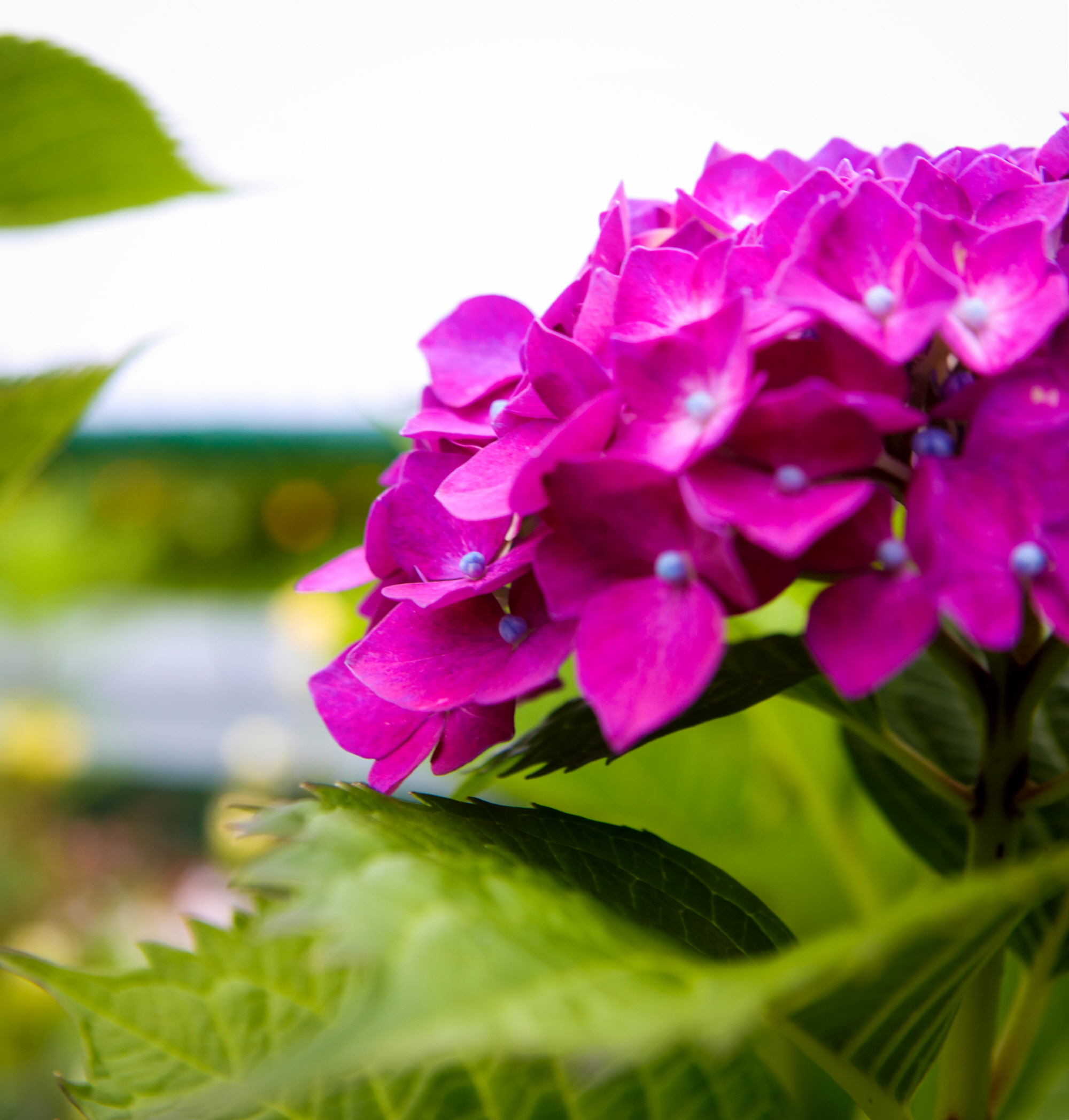 ������Ǫ���ٴ�