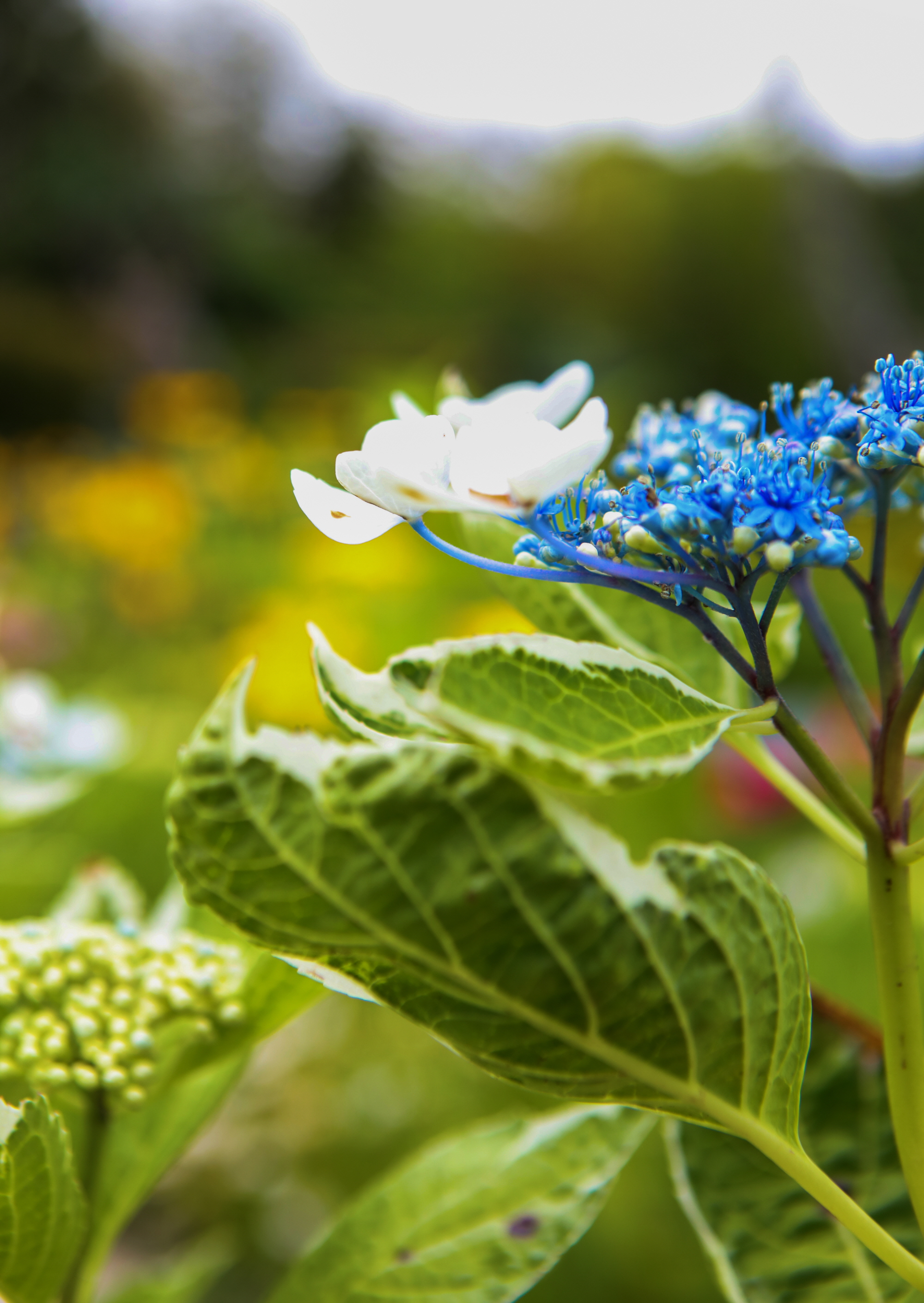 ������Ǫ���ٴ�