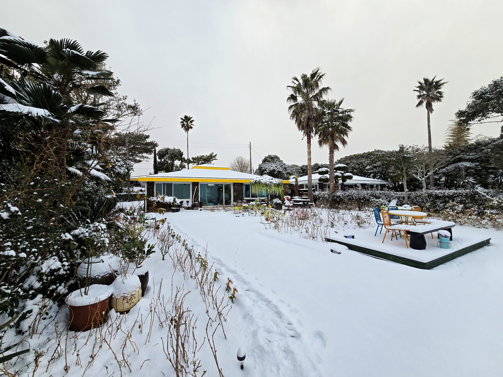 ������Ǫ���ٴ�_�ܿ�ǳ��