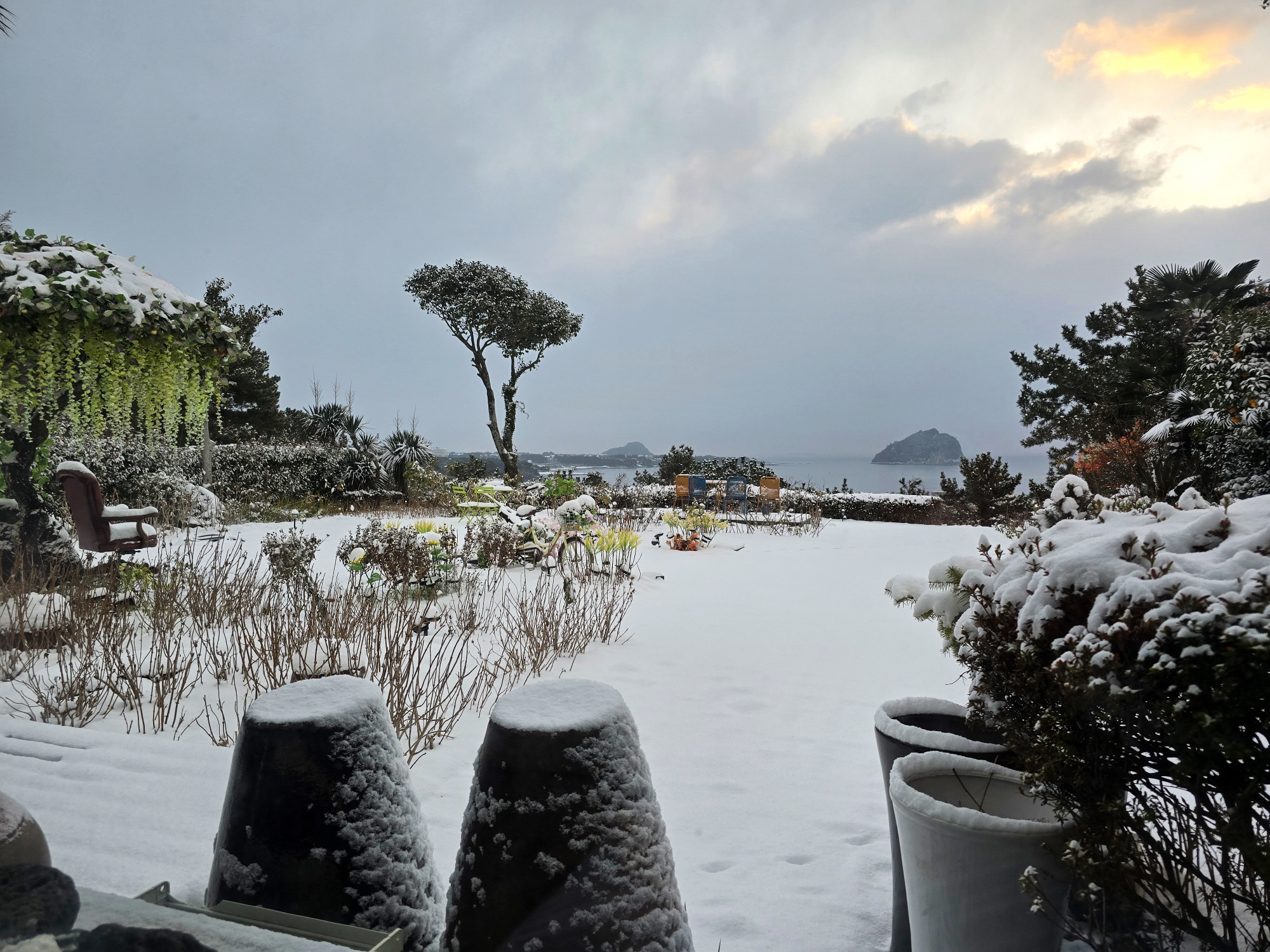 ������Ǫ���ٴ�_�ܿ�ǳ��