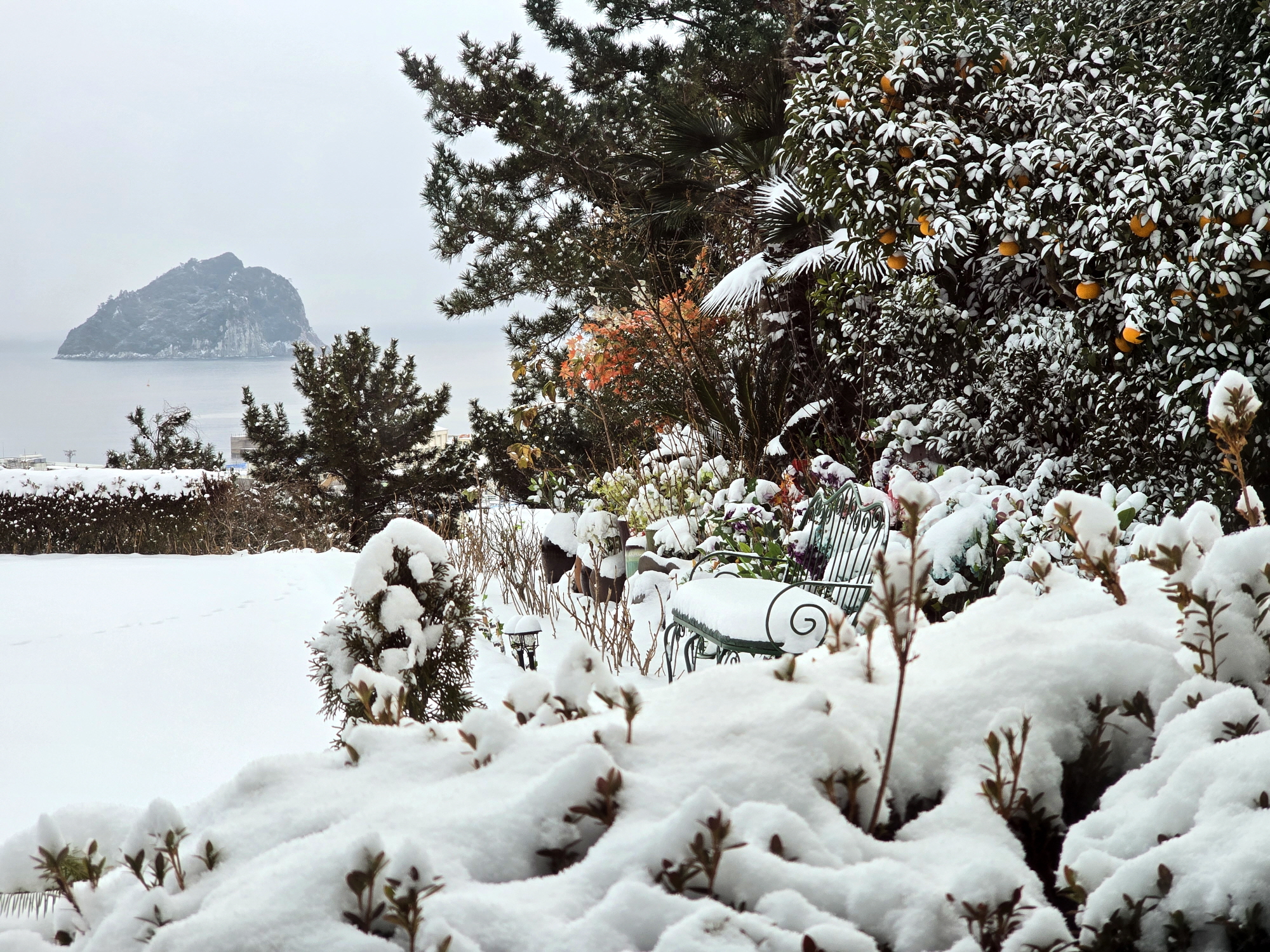 ������Ǫ���ٴ�_�ܿ�ǳ��