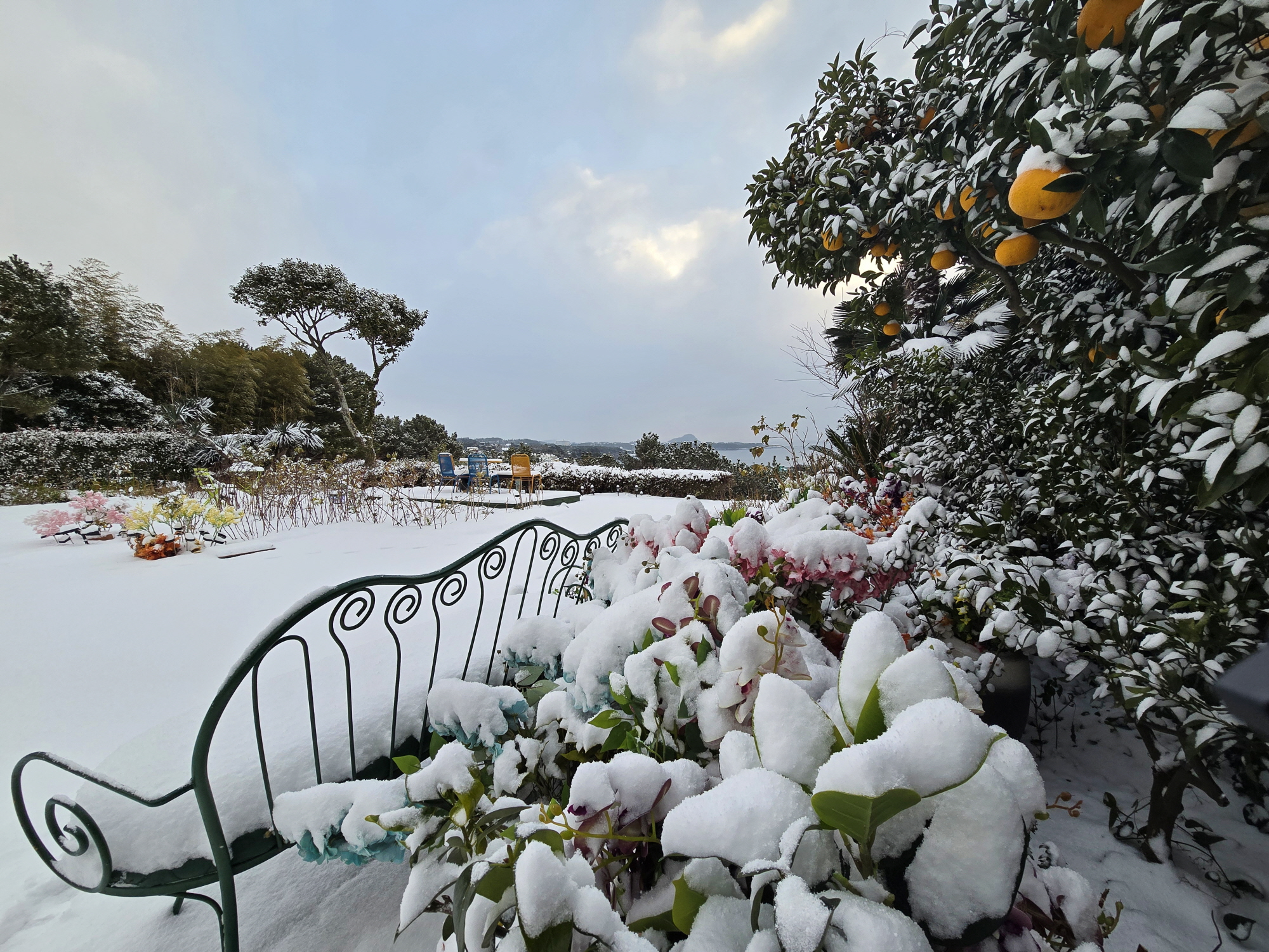 ������Ǫ���ٴ�_�ܿ�ǳ��