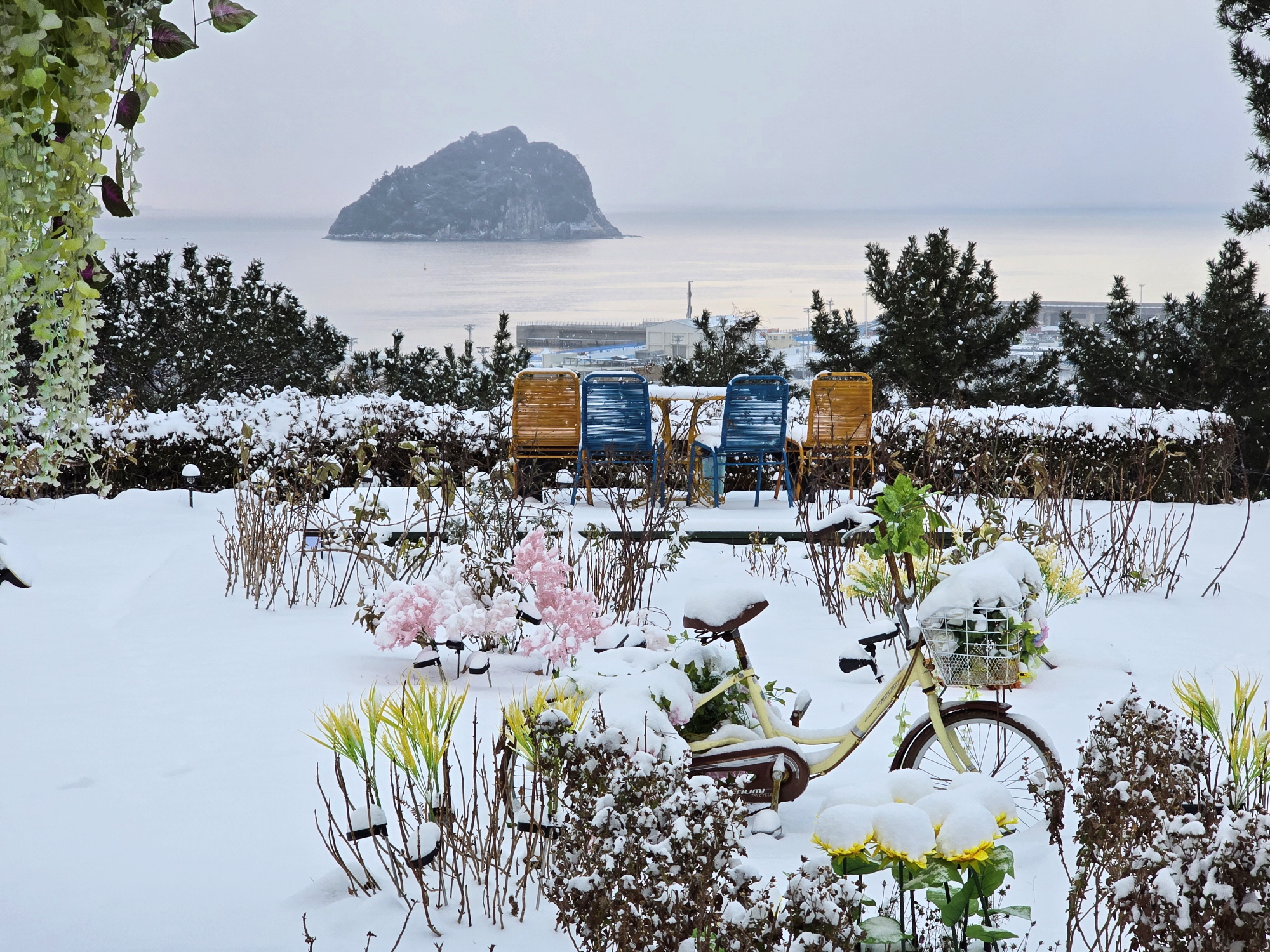 ������Ǫ���ٴ�_�ܿ�ǳ��