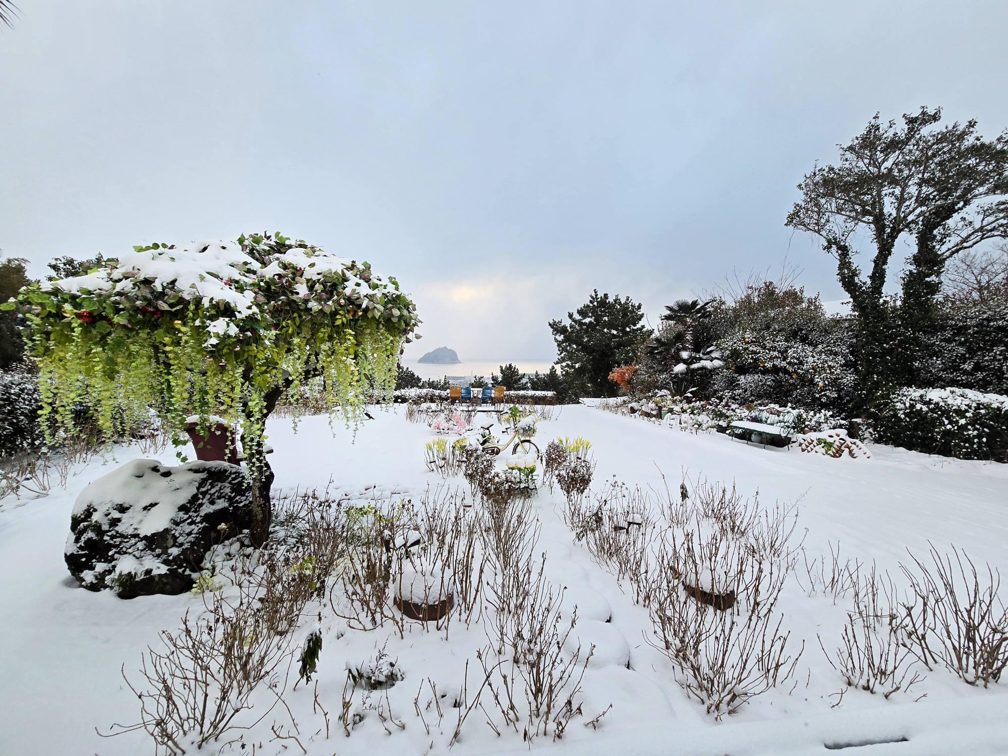 ������Ǫ���ٴ�_�ܿ�ǳ��