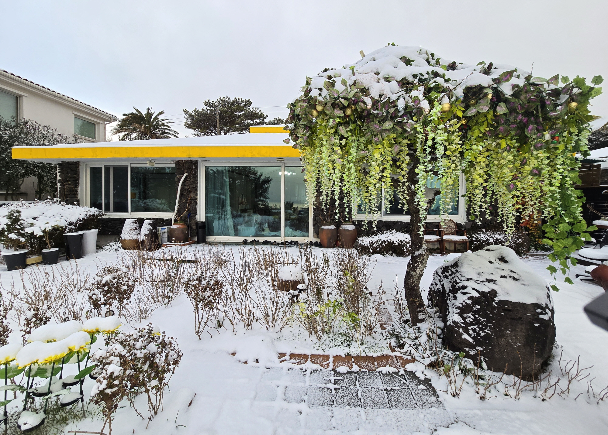 ������Ǫ���ٴ�_�ܿ�ǳ��