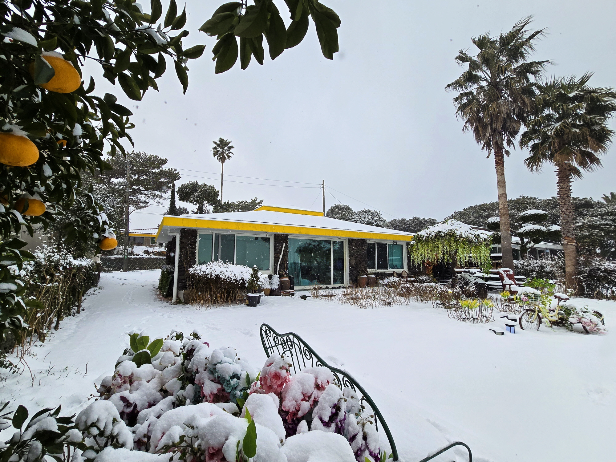 ������Ǫ���ٴ�_�ܿ�ǳ��