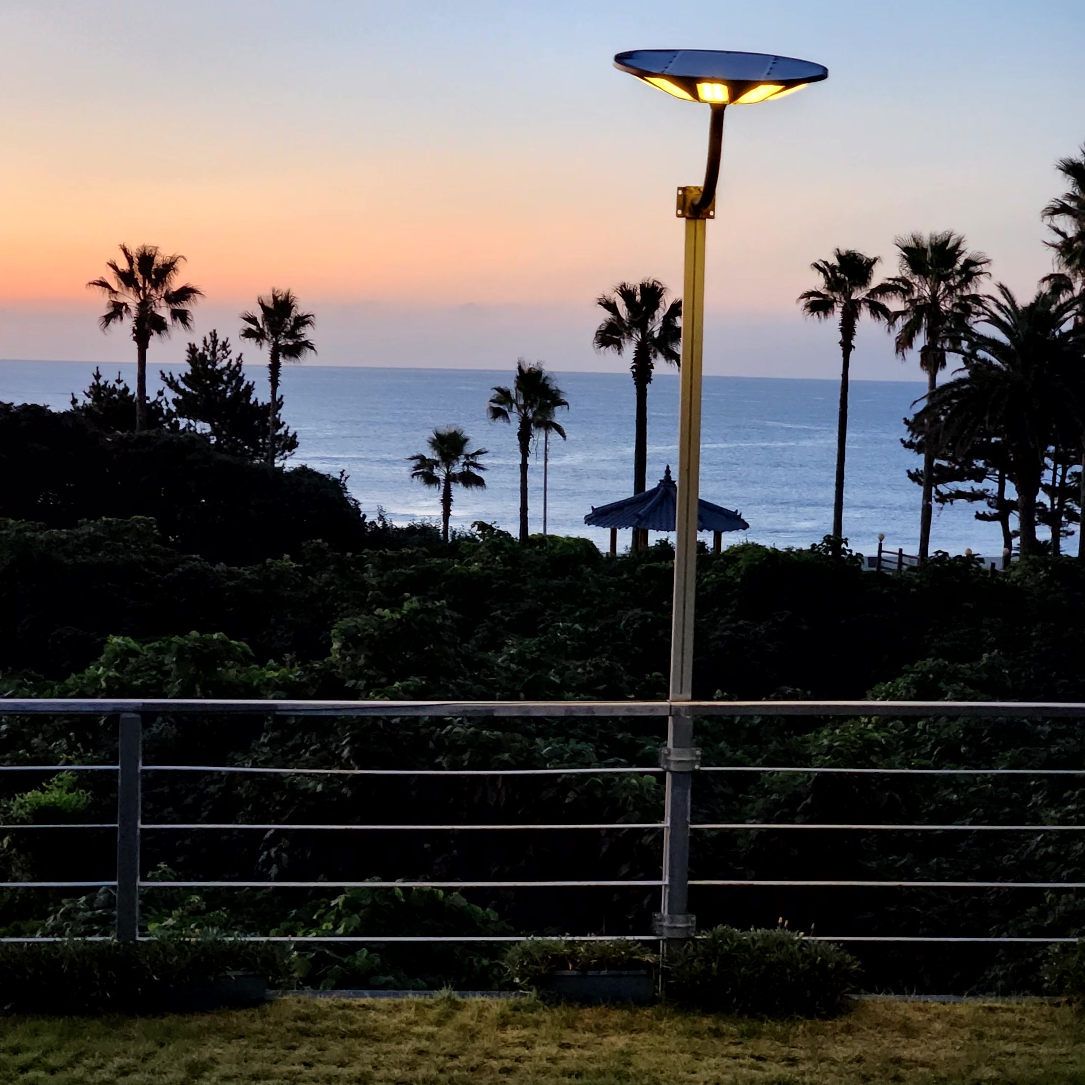 �ľƶ� ����