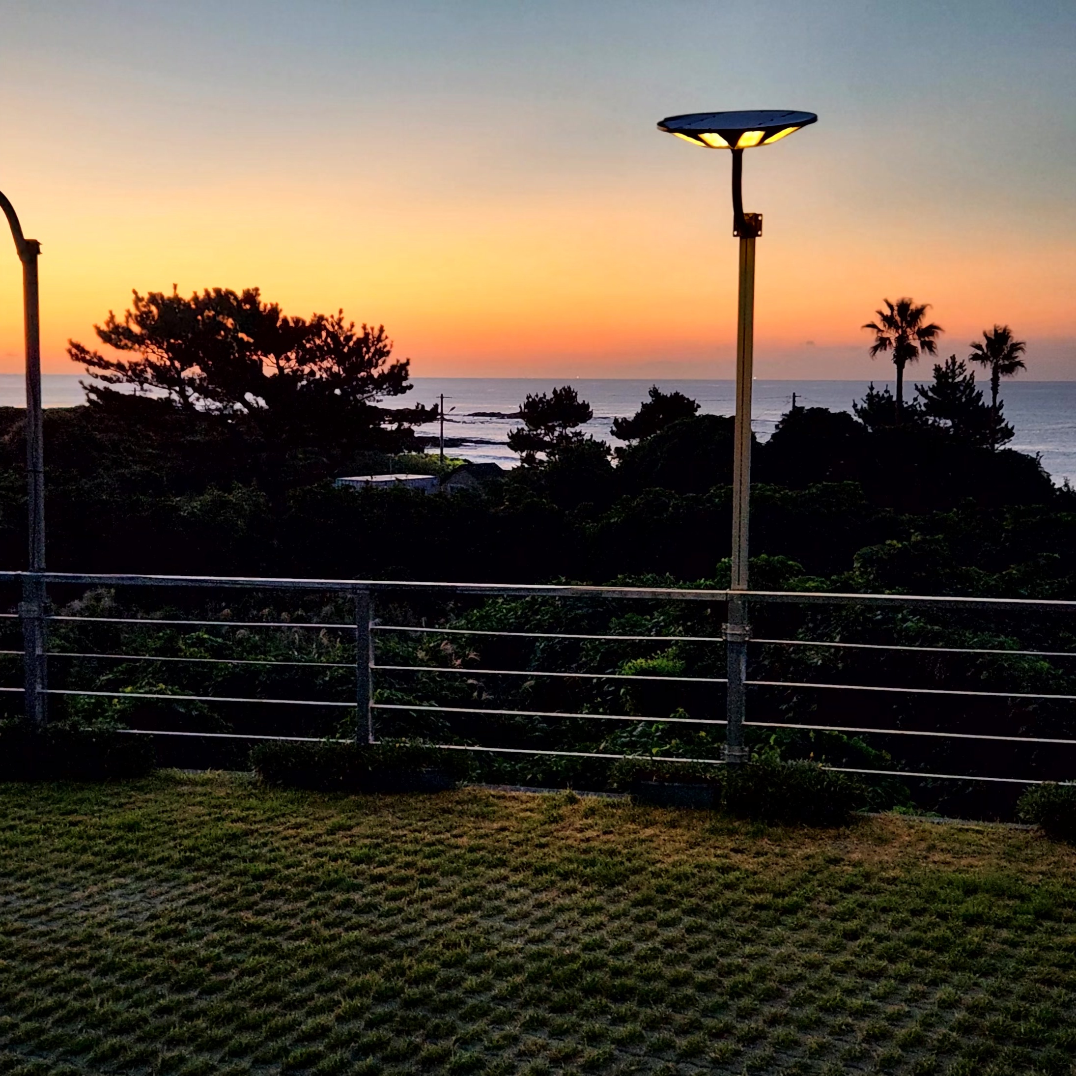 �ľƶ� ����