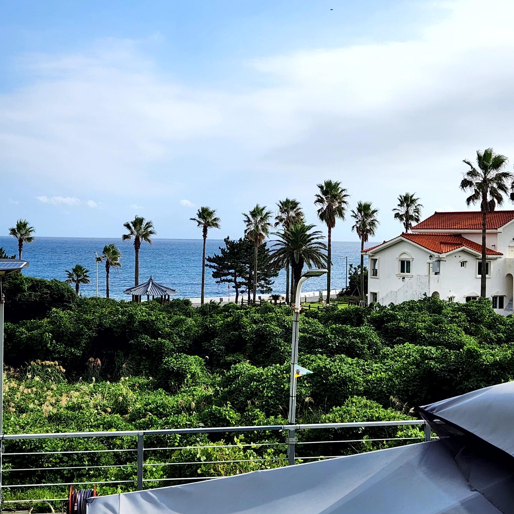 �ľƶ� ����