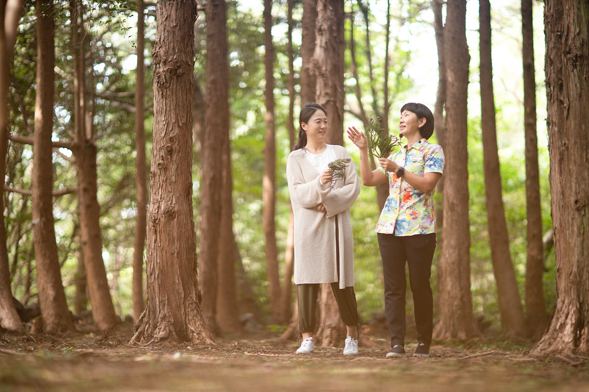 ���Ͻ�����16